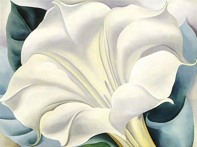 Georgia O'Keeffe White Flower